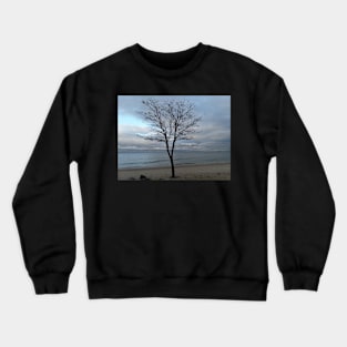 A tree on the beach Crewneck Sweatshirt